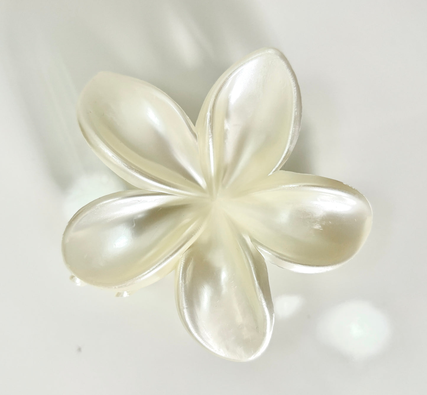 קליפס פרחוני חגיגי