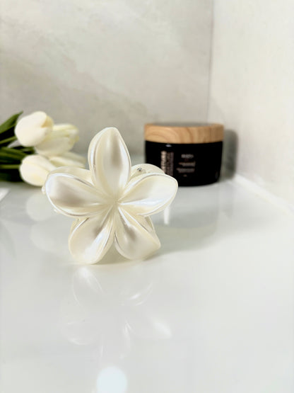 קליפס פרחוני חגיגי